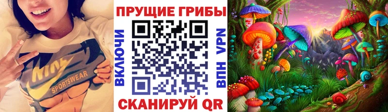 Галлюциногенные грибы Psilocybe  Абинск 